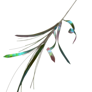 ESPIRAL BITONO BOREAL