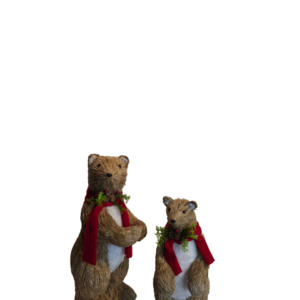 OSO RAFIA X2