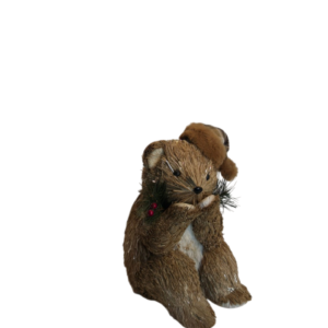 OSO SENTADO