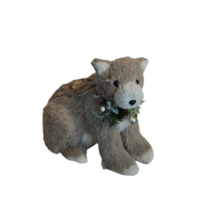 OSO
  YOGUI