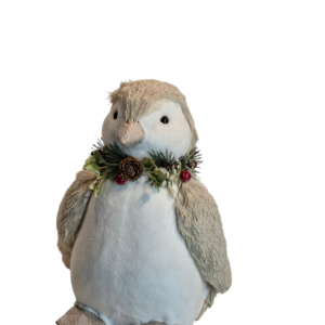 PINGÜINO
  PACO
