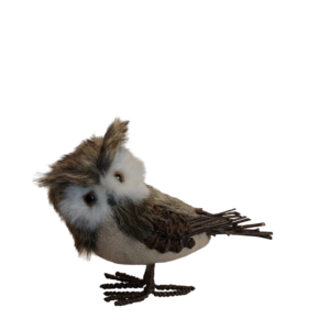 BUHO ORION