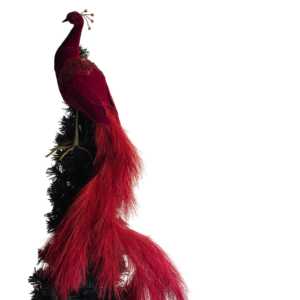 PAVO REAL