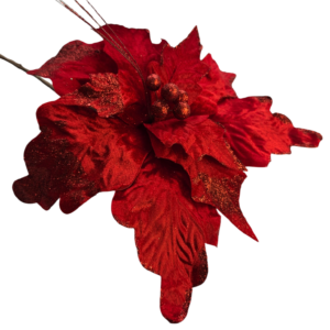 Flores