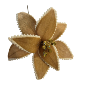 POINSETTIA BORDE BLANCO