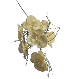 ORQUIDEA PERLADA
