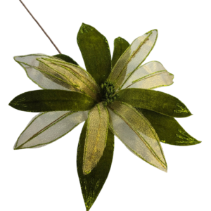 PAPIRO VELO