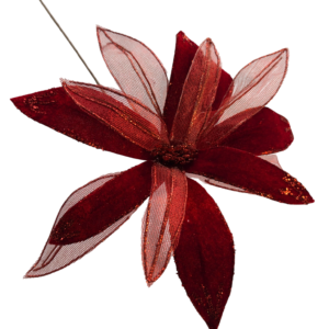 PAPIRO VELO