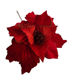 FLOR BORDE ROJO