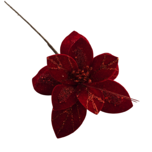 MAGNOLIA MOSTACILLA