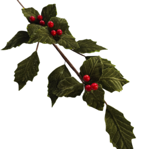 HOJAS
  TERCIOPELO BERRY