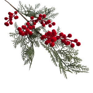 PINO
  BERRY GAMUZA