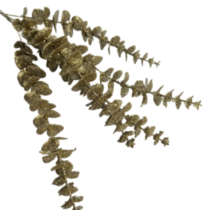 EUCALIPTO
  ESCARCHADO 