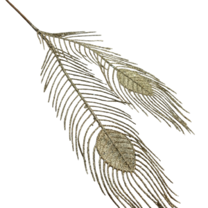 PLUMA
  PAVO
