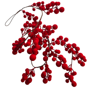 GUIRNALDA
  BERRY GAMUZA