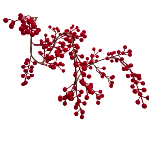 GUIRNALDA
  BERRIES GAMUZA