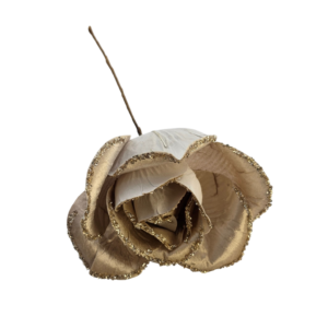 ROSA GIGANTE
