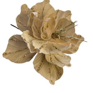 MAGNOLIA LINEAS