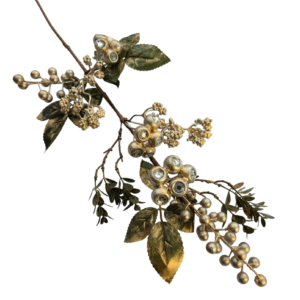 BERRY
  TEXTURAS