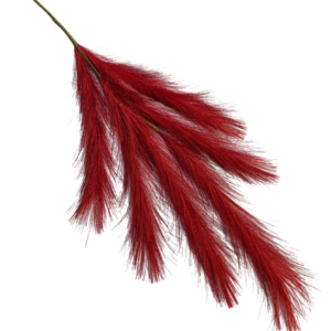 PLUMA
  BRILLANTE