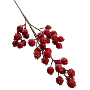 BERRY
  ACRILICOS