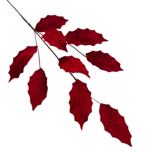 HOJAS TERCIOPELO