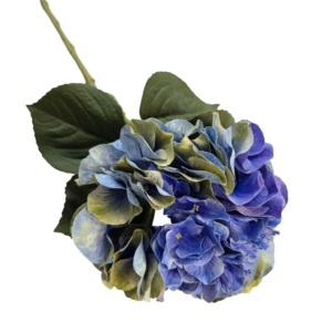 HORTENSIA
  ENVEJECIDA