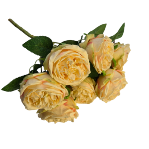 ROSETON PASTEL X7
