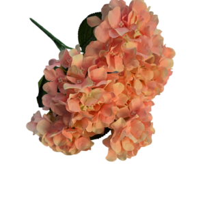 RAMO HORTENSIA X6