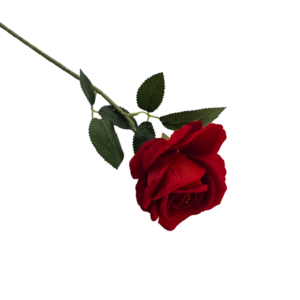 ROSA NATURAL