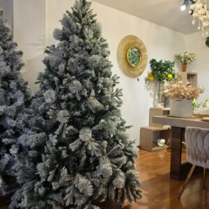 ARBOL
  ALASKA