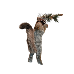 ARDILLA
  PALO