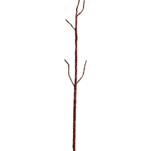 BEJUCO
  ESCARCHADO