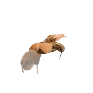COLIBRI