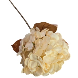 FLOR HOTERNSIA ESCARCHADA