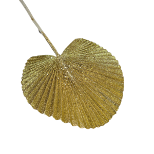 FOLLAJE HOJA ABANICO