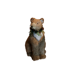 OSO
  ROCKY
