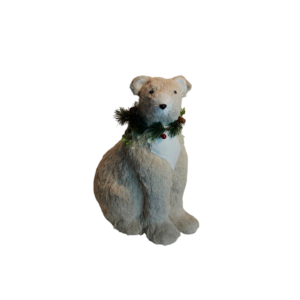 OSO ROCO SENTADO