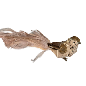 PAJARO PLUMAS