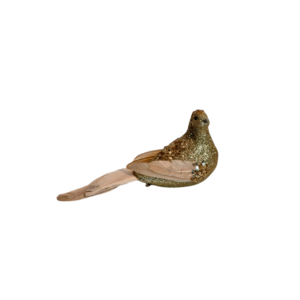 PALOMA