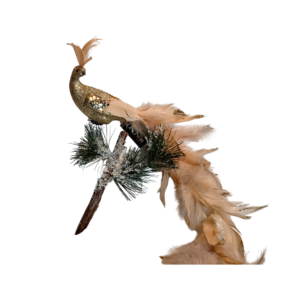 PAVO