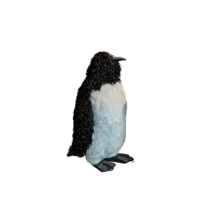 PINGÜINO
  GRANDE
