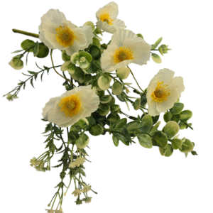 RAMO AMAPOLAS