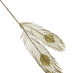 PLUMA PAVO